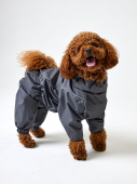 LionPets Дождевик для собаки LionPets Woopy KLM-8424 мальчик Цвет: Серый