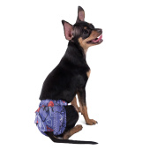 Gamma Трусы для собак XS, 130*130мм