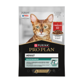 bba2b4dc-6ea6-11ef-bf28-2ea3b921211c_tduvwgzvxtnk4hkj (1)