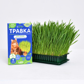 АВЗ Четыре с хвостиком® травка для кошек и других домашних любимцев