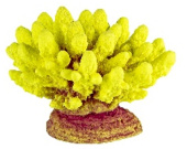 Россия Коралл акрил, 13*10*10