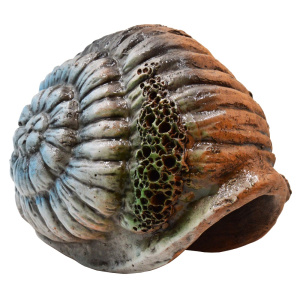 Зооэкспресс Грот Иж Раковина 15*12*9 см