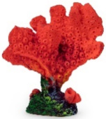 Россия Акропора, Красный 9*5*10 см