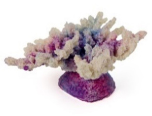 Россия Коралл корона, 13*10*6,5