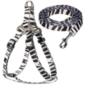Triol Комплект шлейка и поводок нейлоновый "Абстракция" XS, 10*200-400мм; 10*1200мм