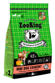 MINI-DOG-EXIGENT_TelatinaTikva_2