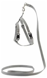 Saival Classic Комплект «Колор»повод10 мм*1,2 м./шлейка XXS10 мм,ОбШ13-18 см,ОбГр17-27 см серый