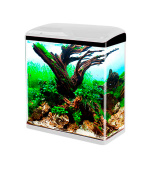 BARBUS Аквариум 17л (LED+top Filtr) БЕЛЫЙ/AQUARIUM 007
