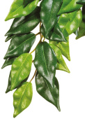 Exo Terra Тропическое растение EX Jungle Plants пластиковое Фикус среднее 55х25 см PT3040