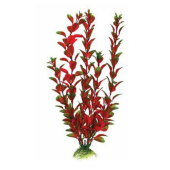 BARBUS 006/10 см Plant красное растение