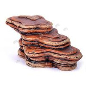 Россия Грот для черепах Краснодар,