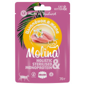 Molina Пауч для котят и кошек Цыпленок в желе, 70 г