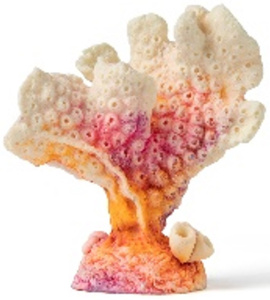 Россия Акропора, Зеленый 9*5*10 см