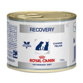 Royal Canin Recovery, диета для собак и кошек в период анорексии, выздоровления, 195 г