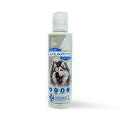 НоменклатураПрисоединенныеФайлы