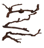 Россия Лоза "Виноградная"40 см-50 см