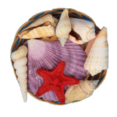 Россия Набор раковин "Дары моря" 6" рафия