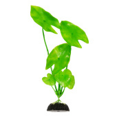 BARBUS 003/10 см Plant зеленое растение