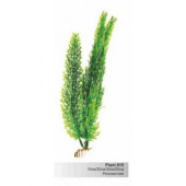BARBUS 015/30 см Plant зеленое растение