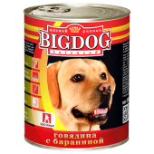 BigDog_0492-500x500