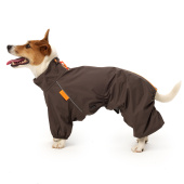 LionPets Дождевик LionPets ДЖЕК РАССЕЛ LP-9226-53 на мальчика Цвет: Графитовый