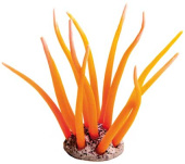 BARBUS Коралл красный, 4,5*4,5*10 см