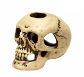 PRIME Череп малый 4,5x6x5 см