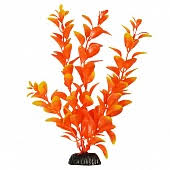 BARBUS 011/20 см Plant оранжевое растение