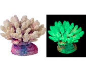 Россия Коралл акрил, 13*10*10