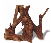 BARBUS Корень мангрового дерева, водная часть