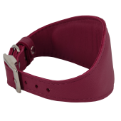 Каскад Ошейник с расширением из овечьей кожи ("селедка"), обхват шеи. 23-27см, 