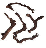 Россия Лоза "Виноградная"20 см-30 см