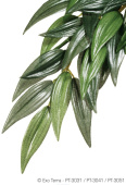 Exo Terra Тропическое растение EX Jungle Plants пластиковое Рускус среднее 55х25 см PT3041