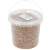 Infish Корм для рыб ГАММАРУС отсев (ведро) 1000 мл Infish