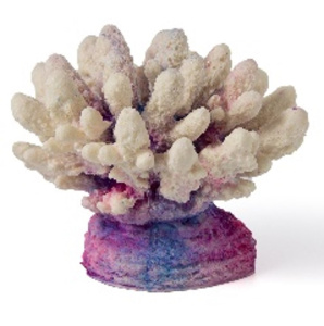 Россия Коралл акрил, 13*10*10