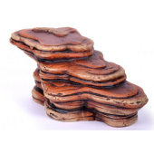 Россия Грот Камень для черепах большой коричневый, К-26