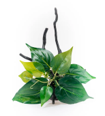 BARBUS Коряга с растениями 23*17*15 см DECOR 208
