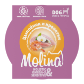 imgi_34_beacb13b019e319528b89ce4f753d07f8477c50a-large