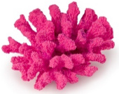 Россия Коралл брокколи, 14*13*7