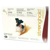 Stronghold kapli 5-10kg dog