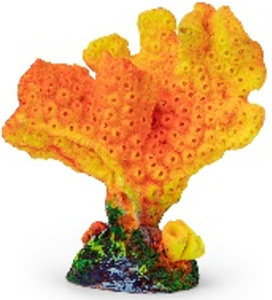 Россия Акропора, Красный 9*5*10 см