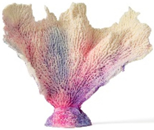 Россия Коралл веер, 17*7*15