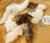 Хвостатый Вкус Хвост кролика, 1 кг 