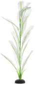BARBUS Шелковое растение 50см Апоногетон мадагаскарский белый/зеленый 