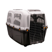 2dac86b36528427a4b4d83b6d5f6622d