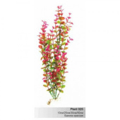 BARBUS 025/30 см Plant красное растение